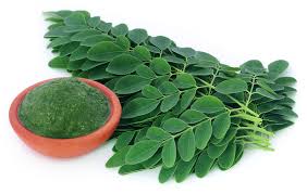 moringa